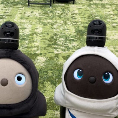 教室にはLAVOTもいます！運が良ければ会えるかも！