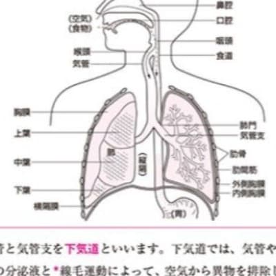 図解がわかりやすい教材