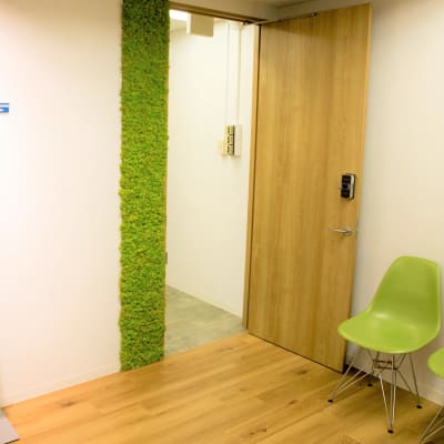 入り口から緑でお出迎え！扉横の植物は優しくしてね。