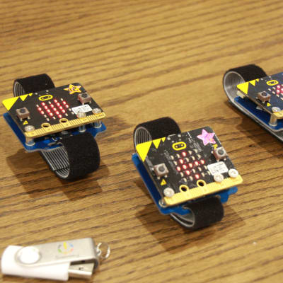 夏休み自由研究