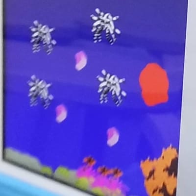 ビスケットも使います。