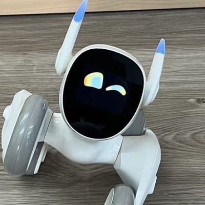 プログラミング機能搭載のロボット「loona」