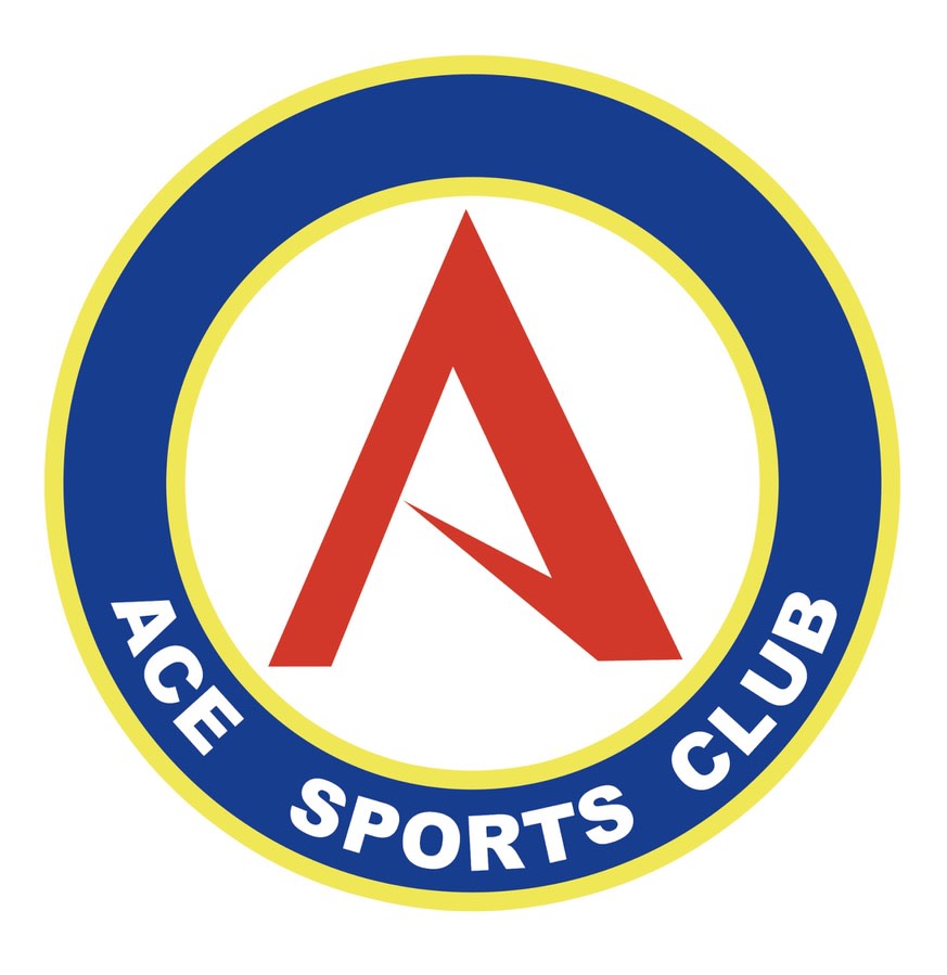 エースプログラミング教室のロゴ画像