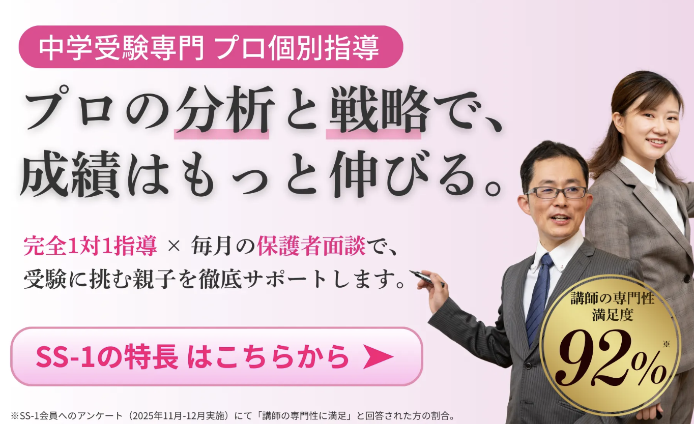 SS-1の公式サイト画像