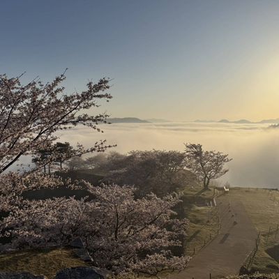 DJI特化型深空ドローンスクール 