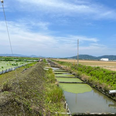 RUSEA福岡支部 トルビズオン 