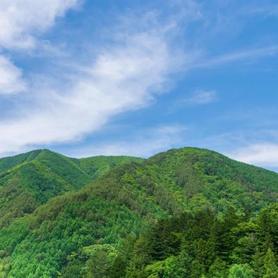 ドローンを飛ばせる廿日市市