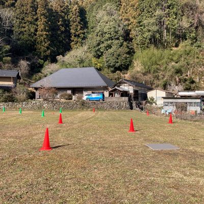 横浜ドローンウォーカー 