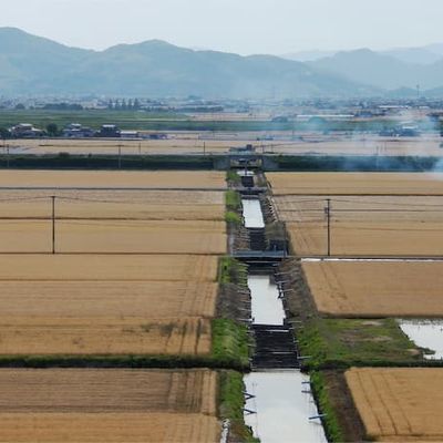 RUSEA福岡支部 トルビズオン 
