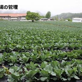 自社農場の管理