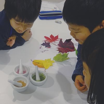 サイエンス編では楽しい実験がいっぱい！