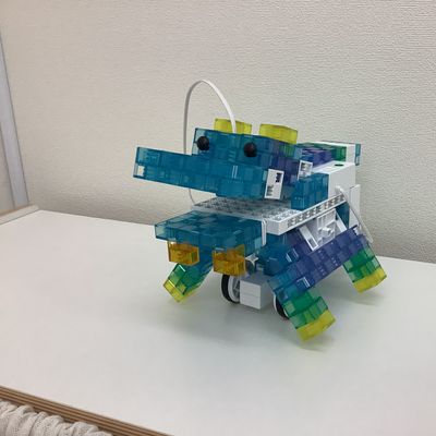 カバ