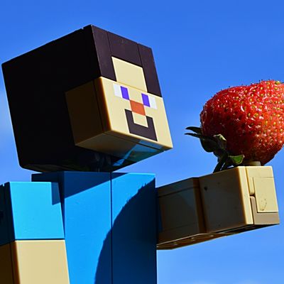 ロブロックスとマイクラでコーディングを学ぶ