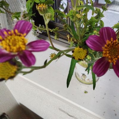 教室は明るく楽しい雰囲気です！