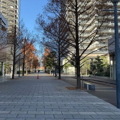 教室前は気持ちの良い歩行者ストリートとなっています。