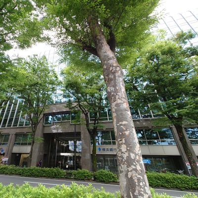 JR・東急東横線 武蔵小杉駅北口から徒歩2分