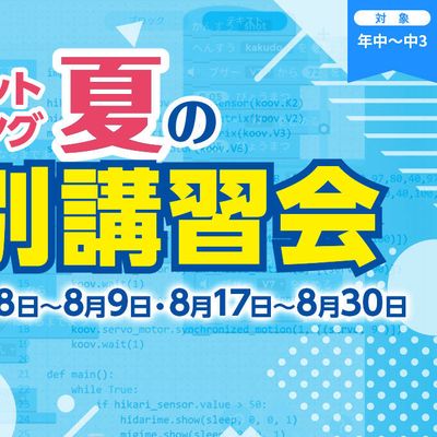 ロボットプログラミング夏の特別講習会開催！