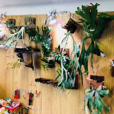 植物園のようなスペースも。