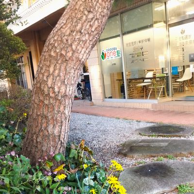小さな庭があります。自然の中で豊かな感性を磨きましょう。