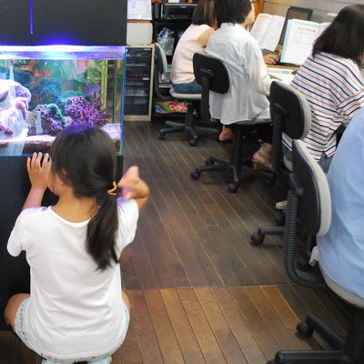 ニモもいるよ。