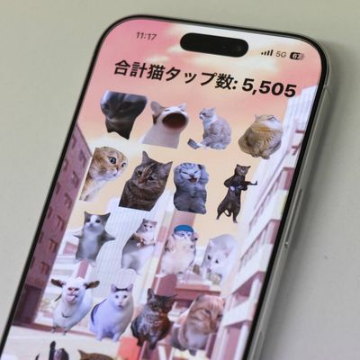 講師作のネコミームアプリ