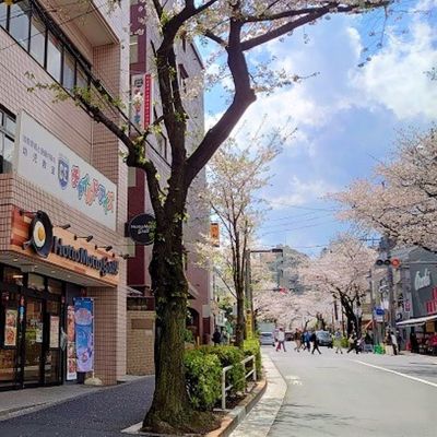 1階は「ほっともっと」さんです。左側の階段からお越しくださいませ。