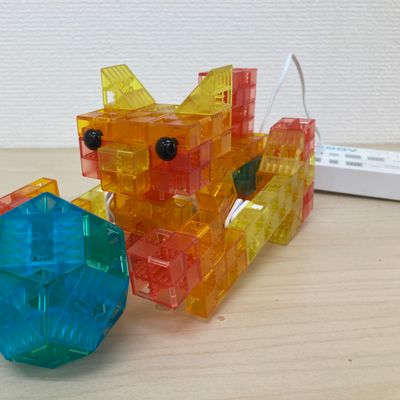 教材：ボールであそぶネコ