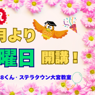 ステラ土POP低-440x311.png