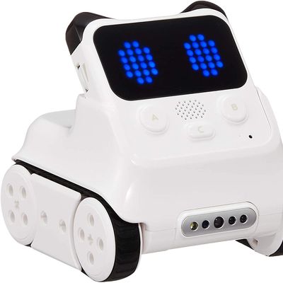 ちょっとかわいいロボット。でもすごく賢いロボットです。