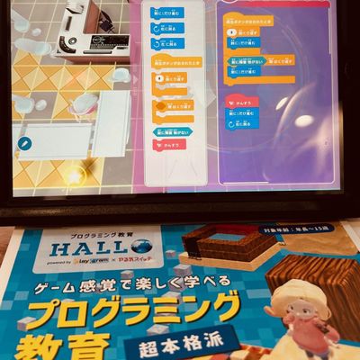 パイソン言語を使用した本格的なプログラミングの知識を習得できます