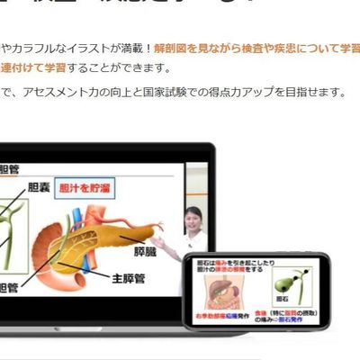 教材の例