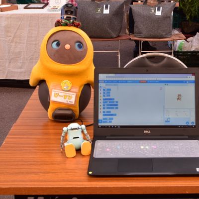 屋外無料体験の様子