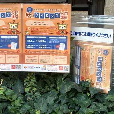 image_50746881