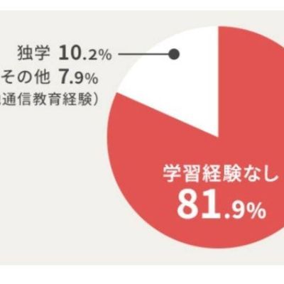 学習経験ない人が80％以上