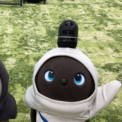 教室にはLAVOTもいます！運が良ければ会えるかも！