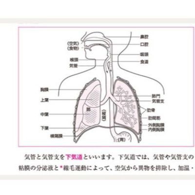 図解がわかりやすい教材