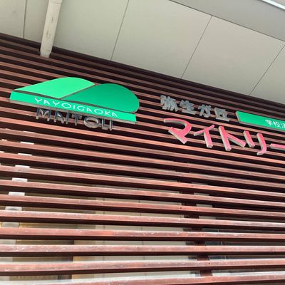 学校法人　慈恩学園　弥生が丘マイトリー幼稚園に本格的なプログラミング教室が誕生します。
