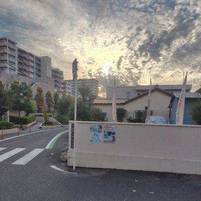 外にポスターを貼っています