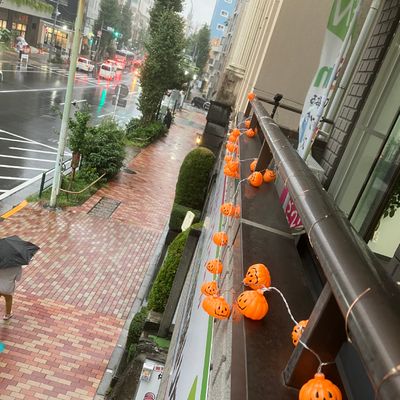 目の前の歩道は広くて安心