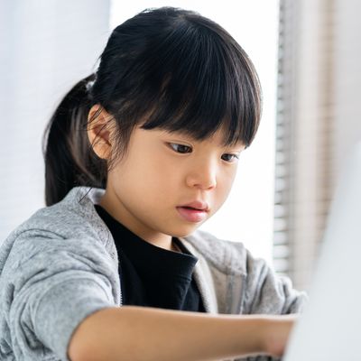 ワクワクするカリキュラムがいっぱいですよ