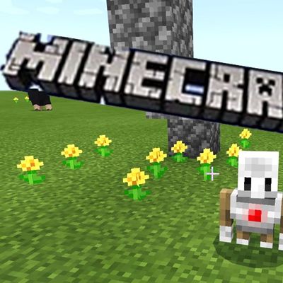 プログラミング教室）マインクラフトの世界で、プログラミングしよう！
