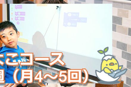 ひよこ(基本)コース：毎週1回(月4～5回)