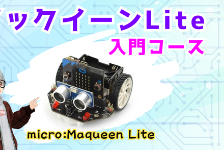 マックイーンLite入門コース