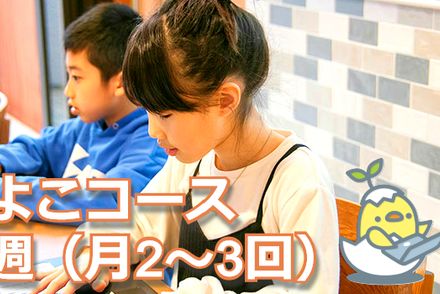 ひよこ(基本)コース：隔週1回(月2～3回)