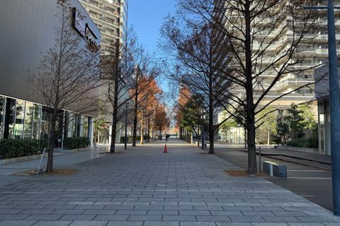 教室前は気持ちの良い歩行者ストリートとなっています。