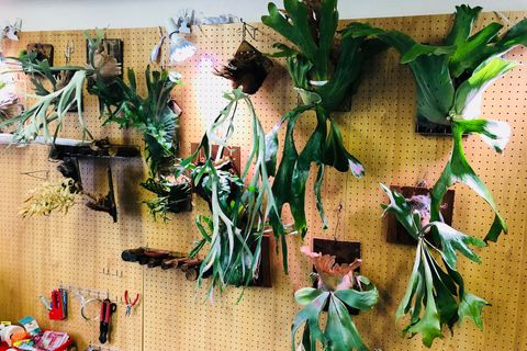 植物園のようなスペースも。