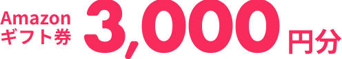 Amazonギフト券 3,000円分