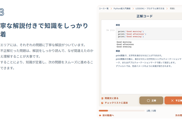 丁寧な解説付きでわかりやすい