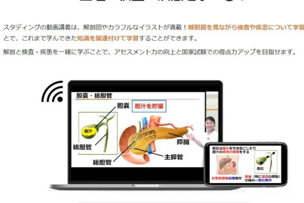 わかりやすい動画講義と豊富な教材