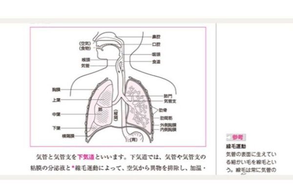 イラストや補足で重要な内容も理解しやすい